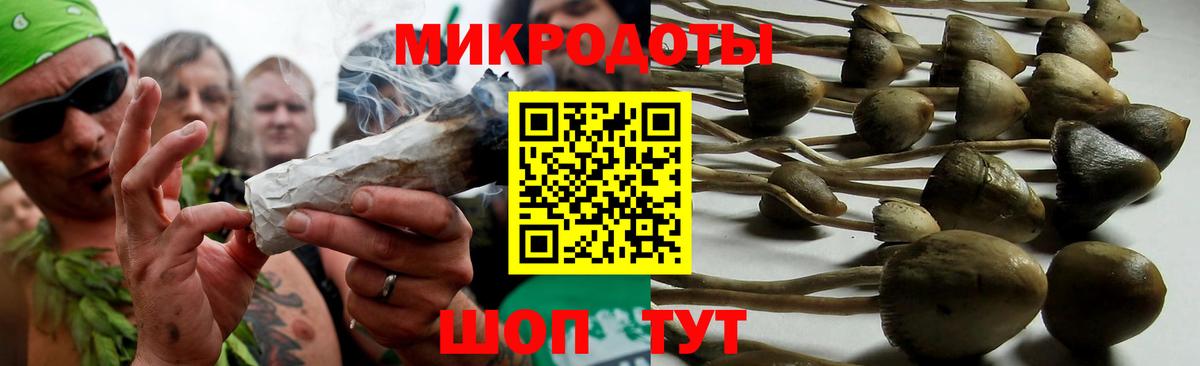 Галлюциногенные грибы мухоморы Верхний Уфалей